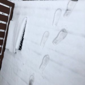 Meet your Posher, Nancy